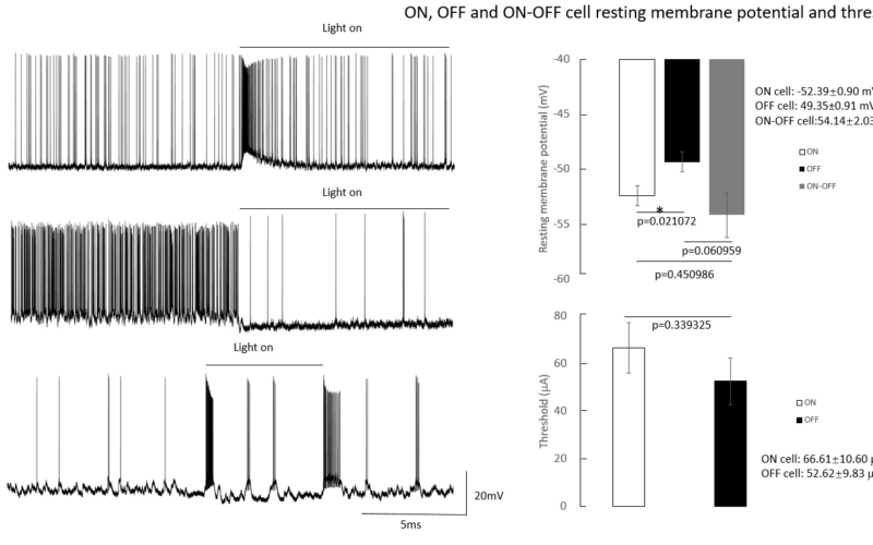 wennan data on graphs